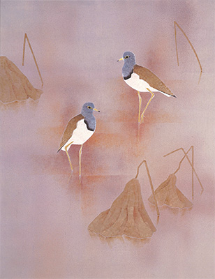 展示作品の画像