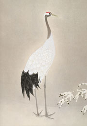 上村松篁「丹頂」(後期展示)