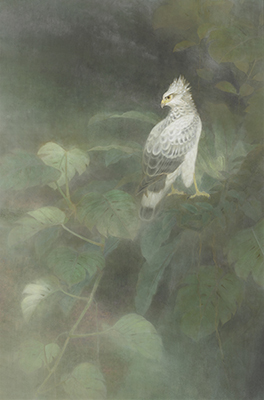 大森正哉「若き孤高」