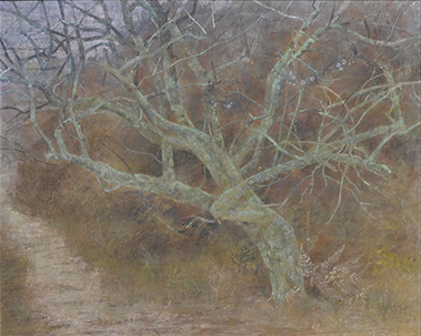 小田 賢「浅春（センシュン）」