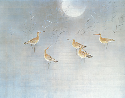 展示作品の画像