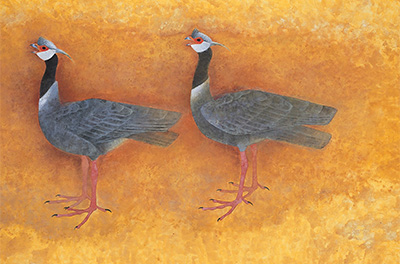 展示作品の画像