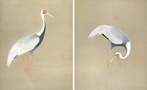 展示作品の画像