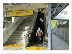 月曜から夜ふかし