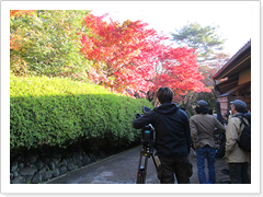 金曜プレステージ「浅見光彦シリーズ47」～平城山を越えた女～